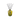 "Aurora"